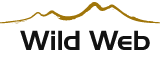Wild Web | Soluzioni internet e grafica pubblicitaria